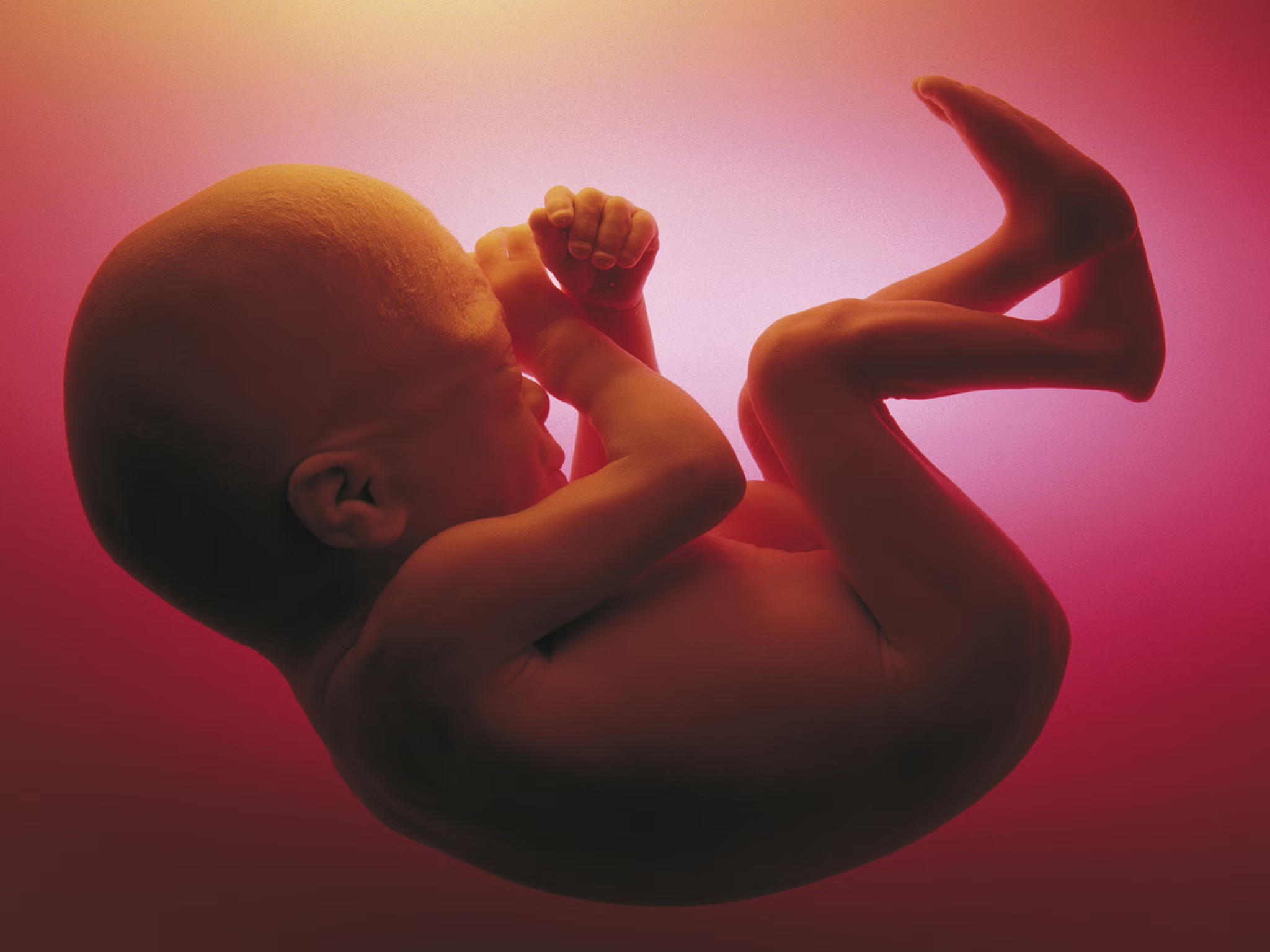 Origin of life
